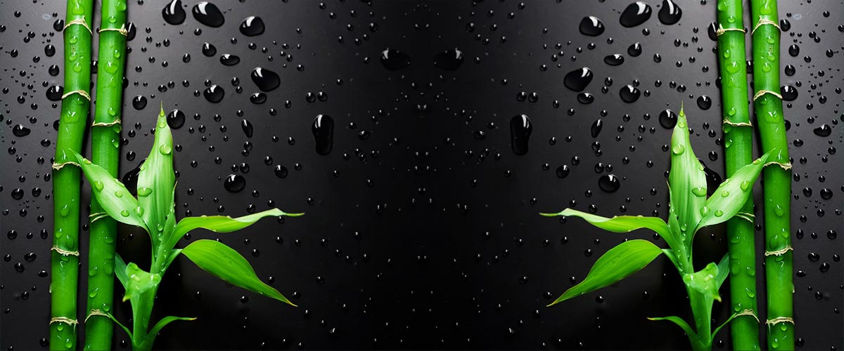 Slide background